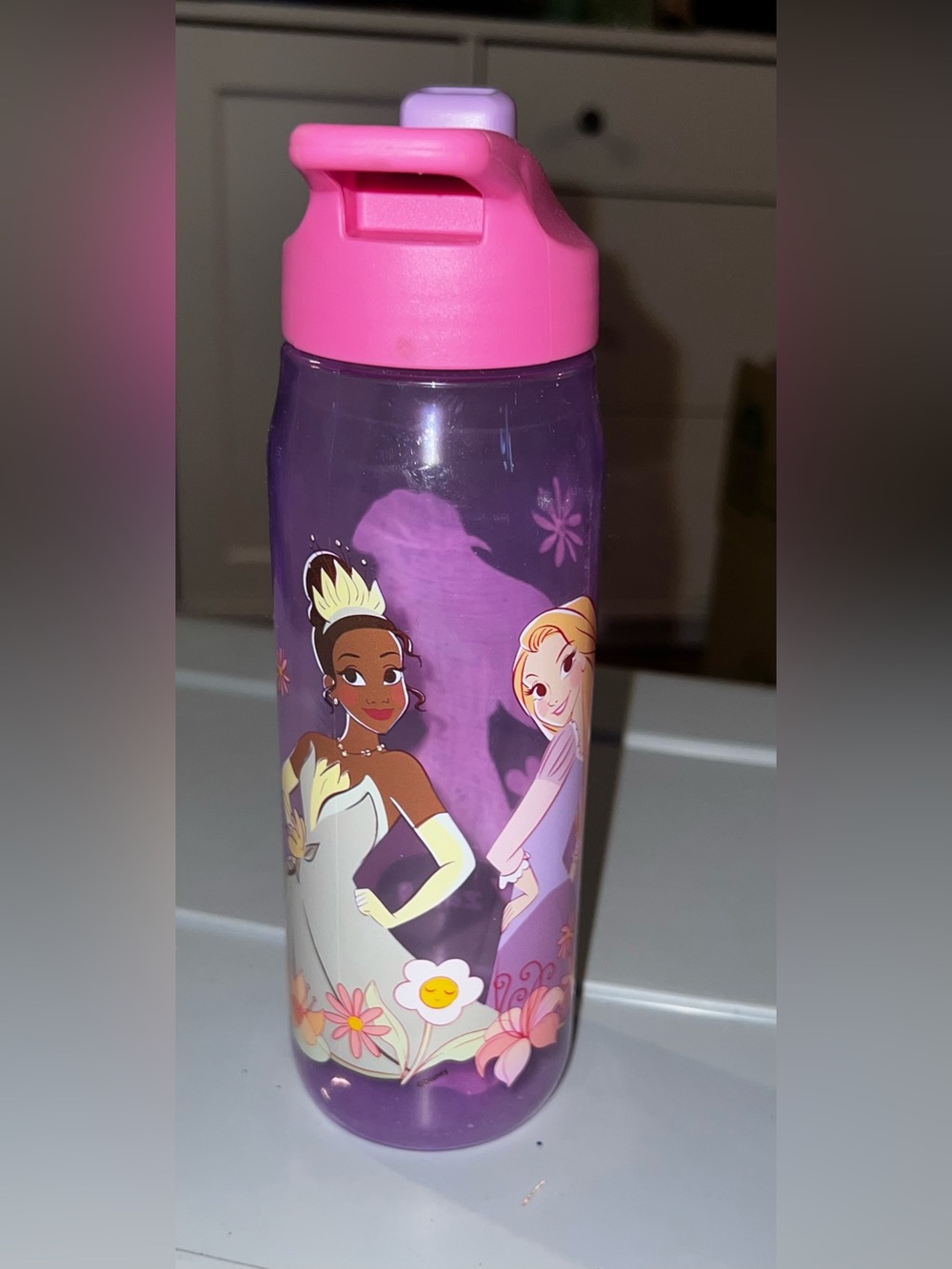 Zak Disney Princess Character Chug Bottle with Flip-Top Lid 20 oz. NEW